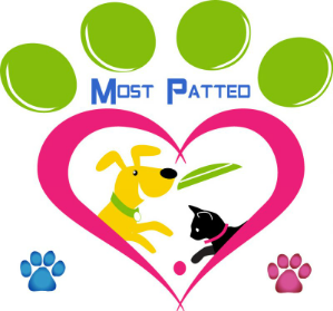 a most patted award 